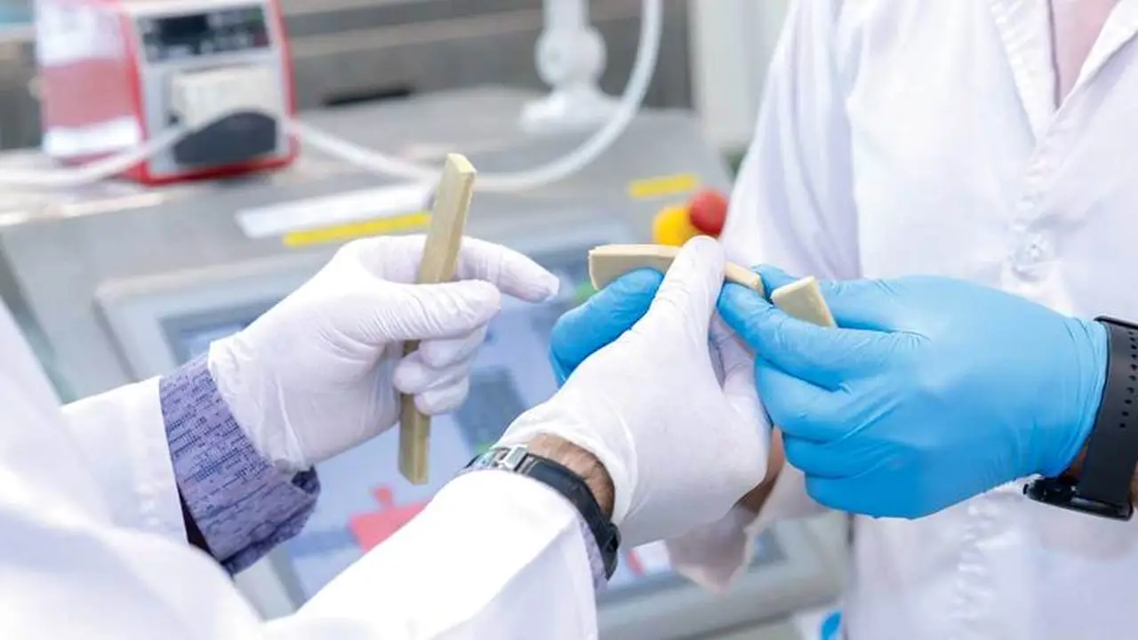 جامعة الإمارات تطوّر لحومًا نباتية مبتكرة باستخدام الذكاء الاصطناعي